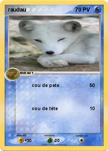 Pokemon raudau