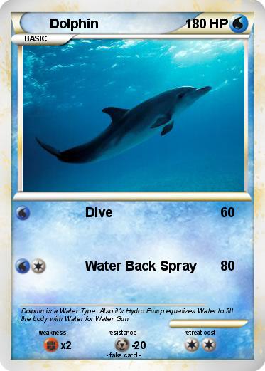 Pokemon Dolphin