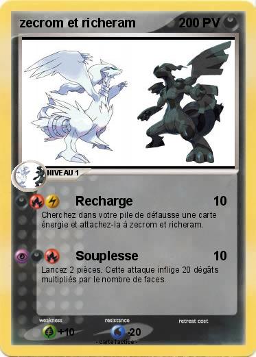 Pokemon zecrom et richeram