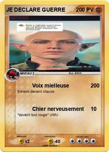 Pokemon JE DECLARE GUERRE