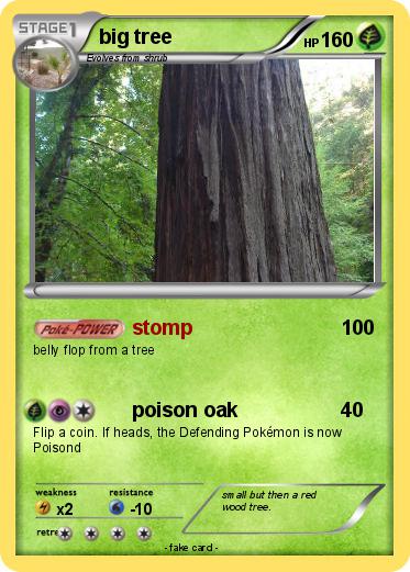 Pokemon big tree