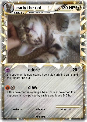 Pokemon carly the cat