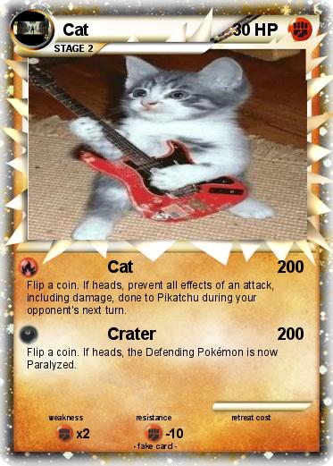 Pokemon Cat
