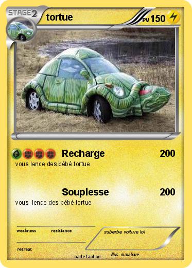 Pokemon tortue