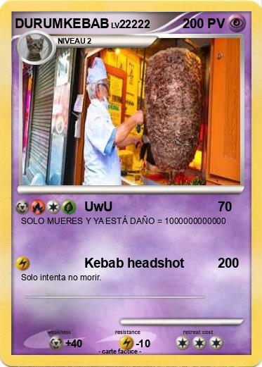 Pokemon DURUMKEBAB