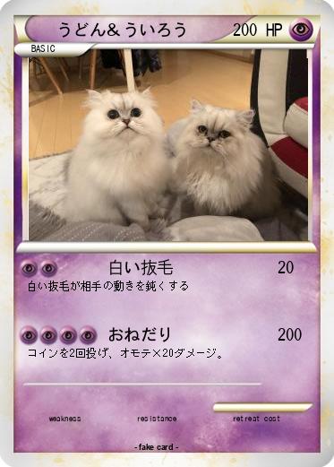 Pokemon うどん＆ういろう