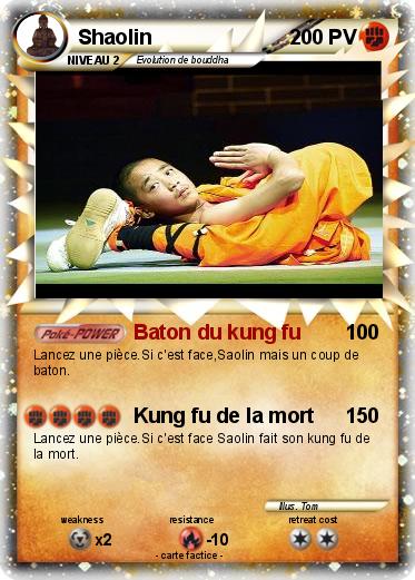 Pokemon Shaolin