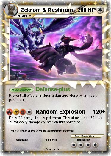 Pokemon Zekrom & Reshiram