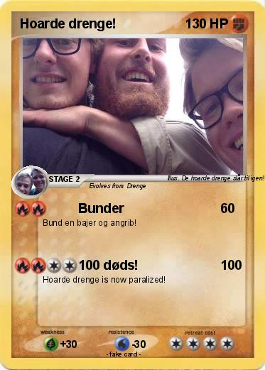 Pokemon Hoarde drenge!