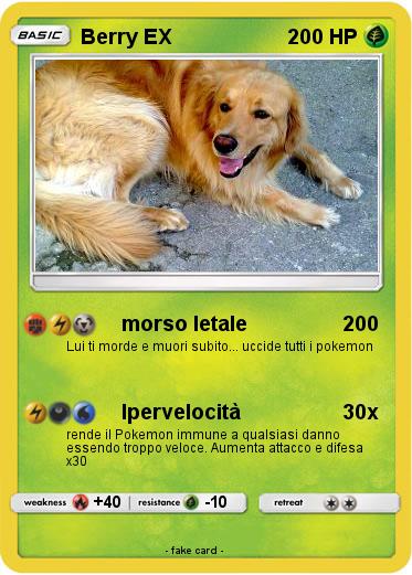 Pokemon Berry EX