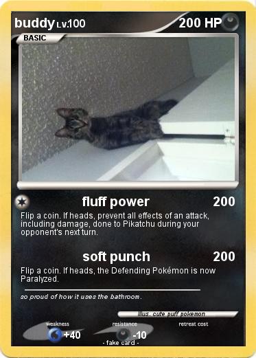 Pokemon buddy