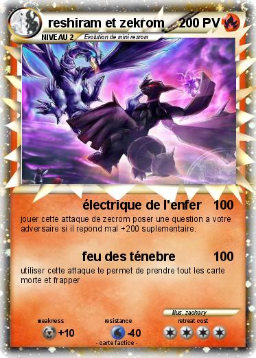 Pokemon reshiram et zekrom