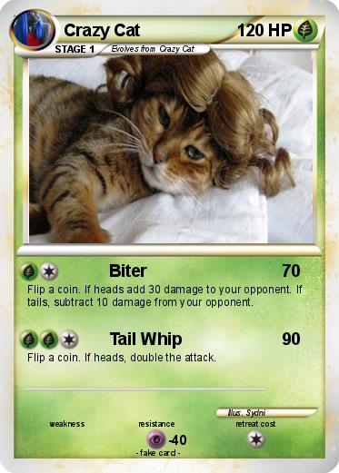 Pokemon Crazy Cat