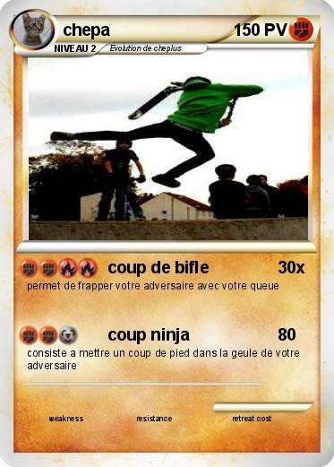 Pokemon chepa