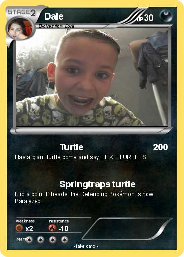 Pokemon Dale