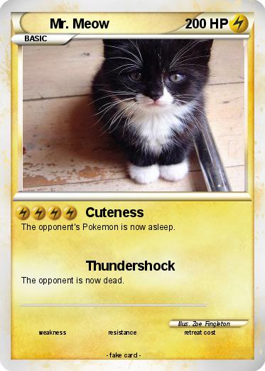 Pokemon Mr. Meow