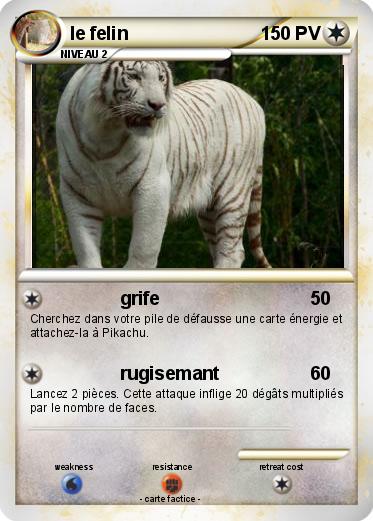 Pokemon le felin