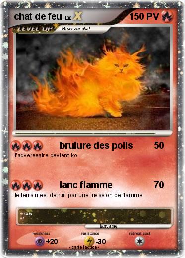 Pokemon chat de feu