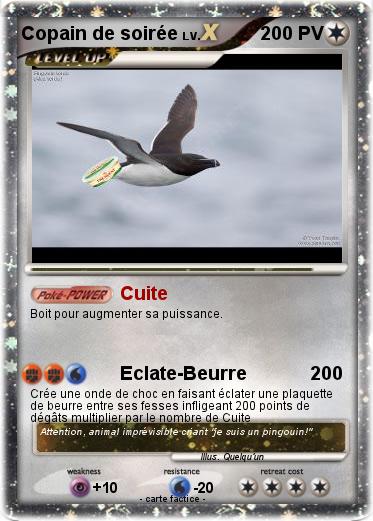 Pokemon Copain de soirée