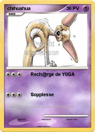 Pokemon chihuahua