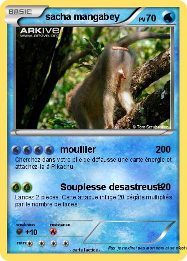 Pokemon sacha mangabey