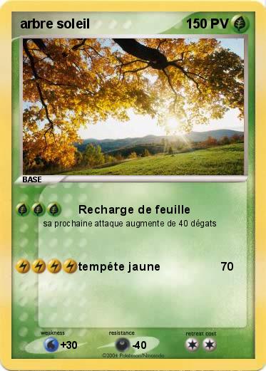Pokemon arbre soleil