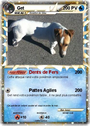 Pokemon Get