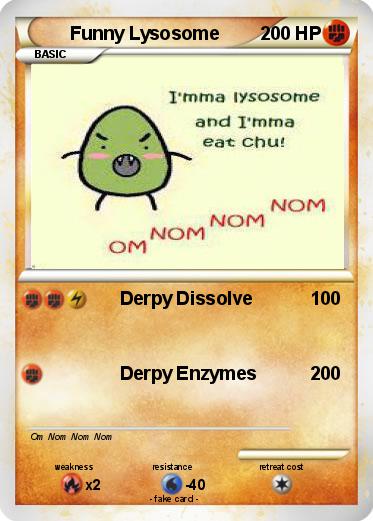 Pokemon Funny Lysosome