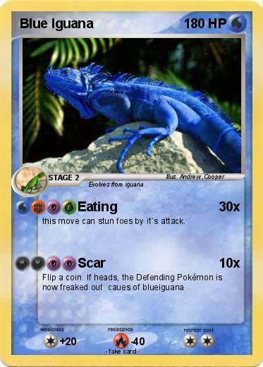 Pokemon Blue Iguana