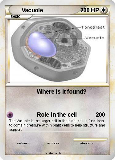 Pokemon Vacuole