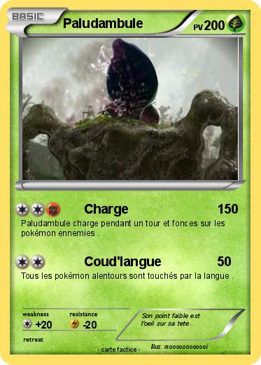 Pokemon Paludambule