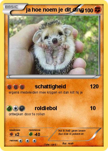 Pokemon ja hoe noem je dit ding