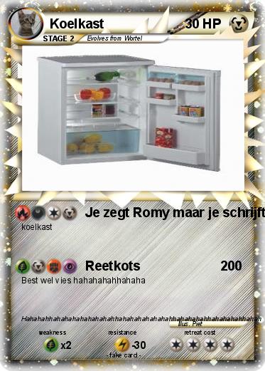 Pokemon Koelkast