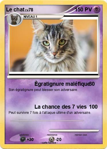 Pokemon Le chat