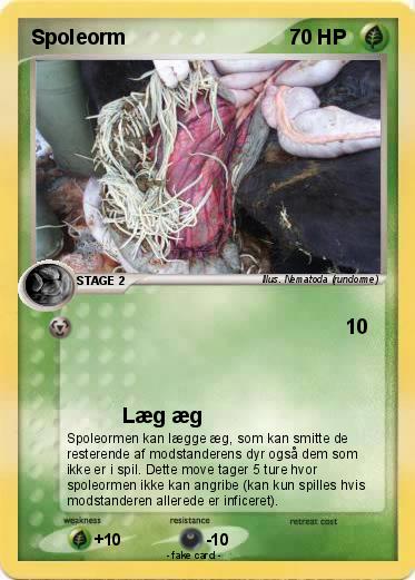 Pokemon Spoleorm