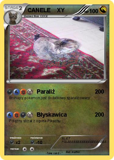 Pokemon CANELE    XY