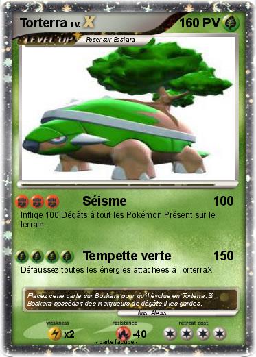 Pokemon Torterra