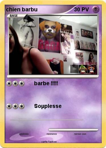 Pokemon chien barbu
