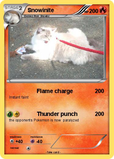 Pokemon Snowinite