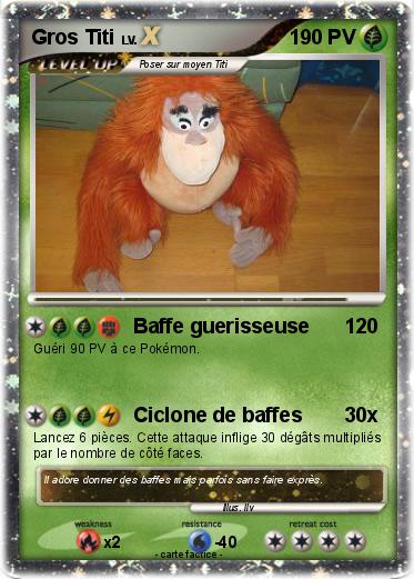 Pokemon Gros Titi