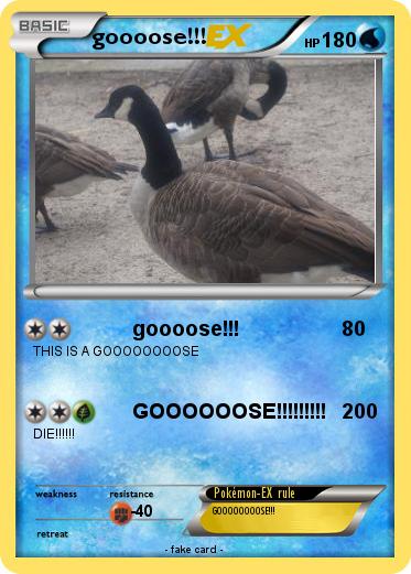 Pokemon goooose!!!
