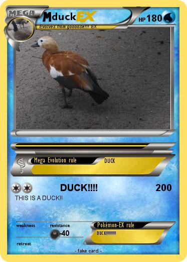 Pokemon duck
