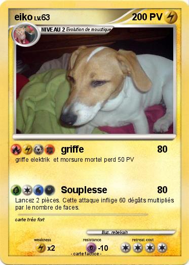Pokemon eiko