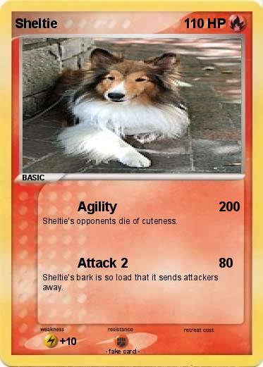 Pokemon Sheltie