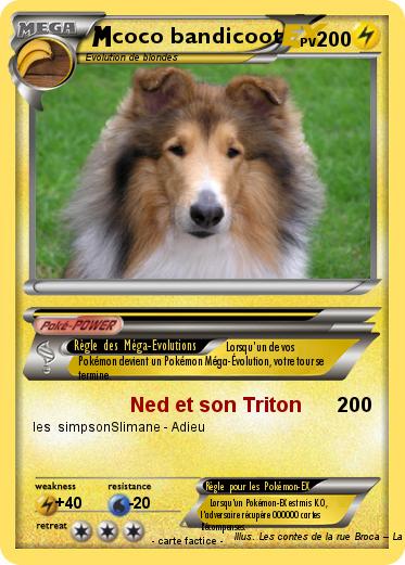 Pokemon coco bandicoot