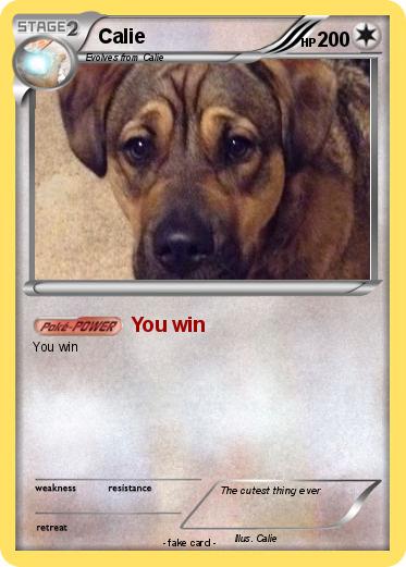 Pokemon Calie