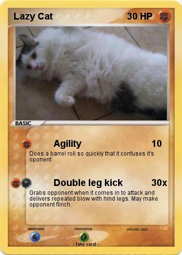 Pokemon Lazy Cat
