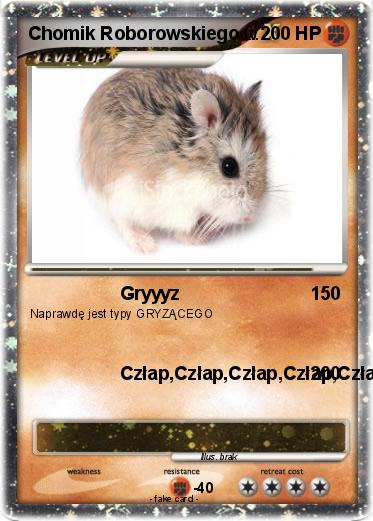 Pokemon Chomik Roborowskiego