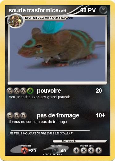 Pokemon sourie trasformice