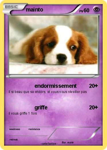 Pokemon mainto